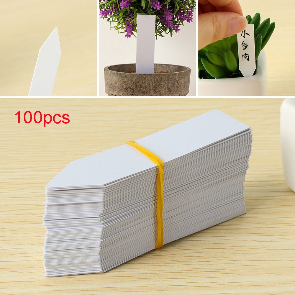 Gardening Tools Labeled - 100 pezzi Mini etichetta di semi