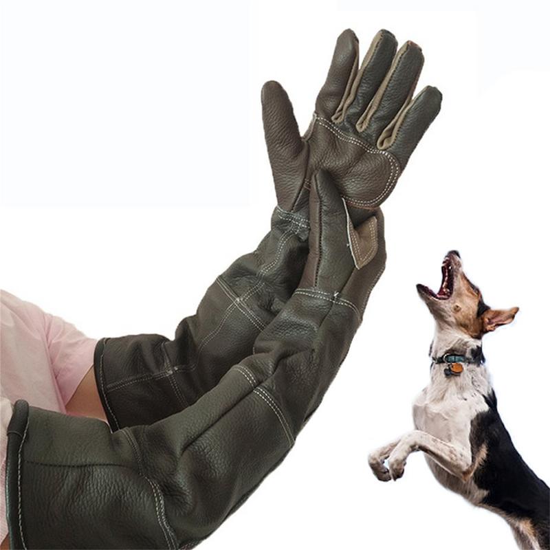 Gardening Tools Gloves - Guanti per animali domestici Guanti protettivi