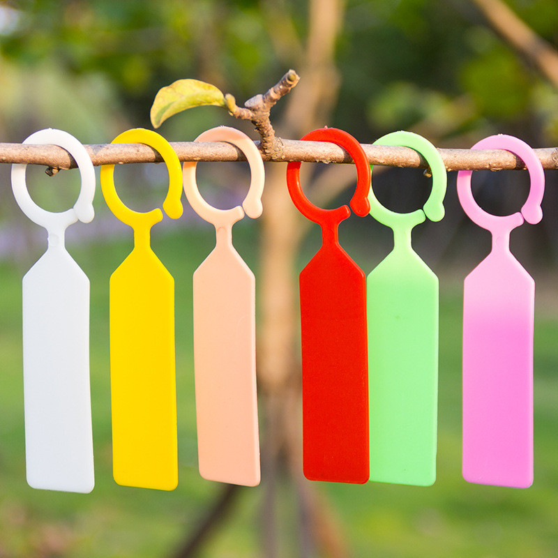 Gardening Tools Labeled - 50 pz Etichette per piante impermeabili