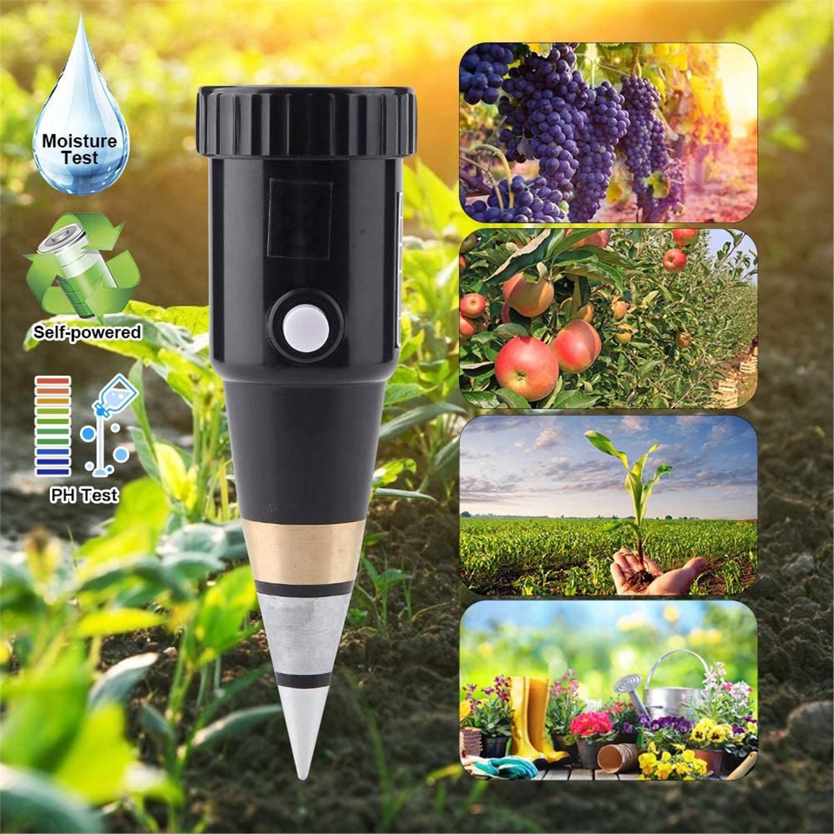 Soil Ph Meter - Misuratore di pH e umidità del