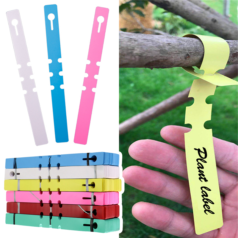 50 pezzi di pennarelli per pia - Gardening Tools Labeled recensione e prezzo
