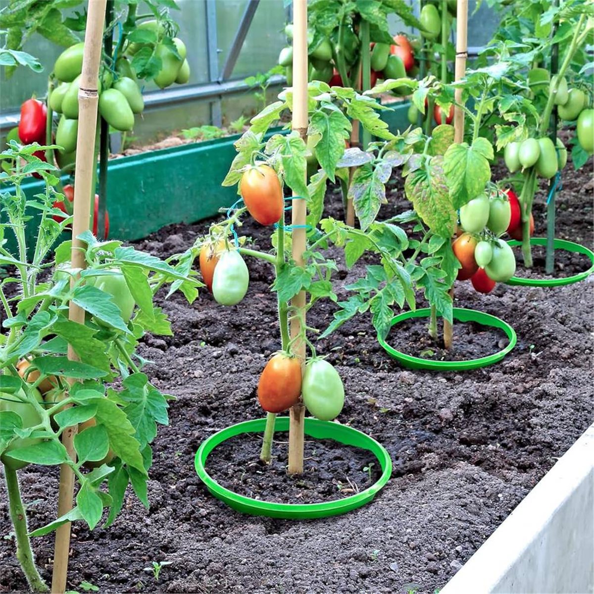 【OFFERTA COUNTDOWN】 4 Anelli P - Gardening Tools Deals recensione e prezzo
