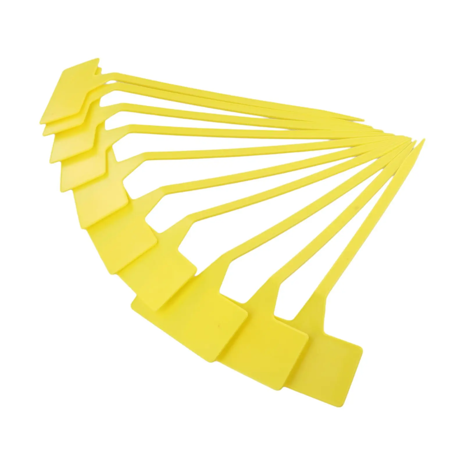 Etichette per piante domestich - Gardening Tools Labeled recensione e prezzo