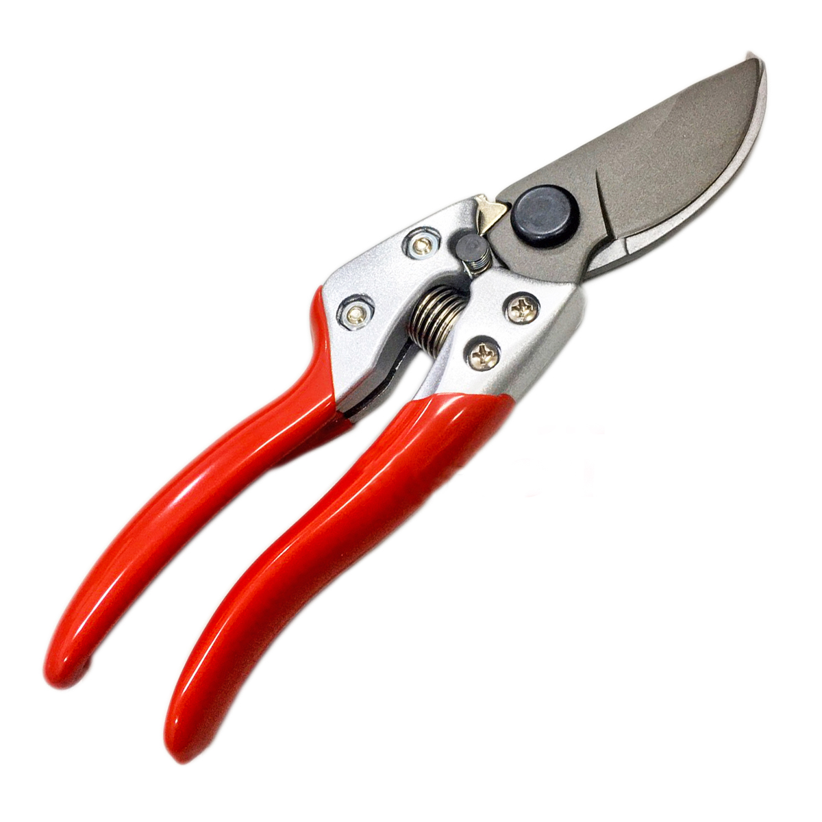Forbici da Giardino Industrial - Gardening Tools Japan recensione e prezzo