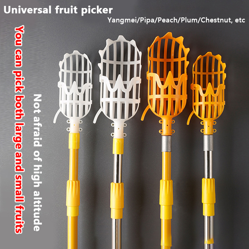 Picking Loquat Picking Bayberr - Gardening Tools Rack recensione e prezzo
