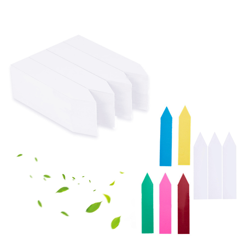 Etichette per Piante da Giardi - Gardening Tools Labeled recensione e prezzo