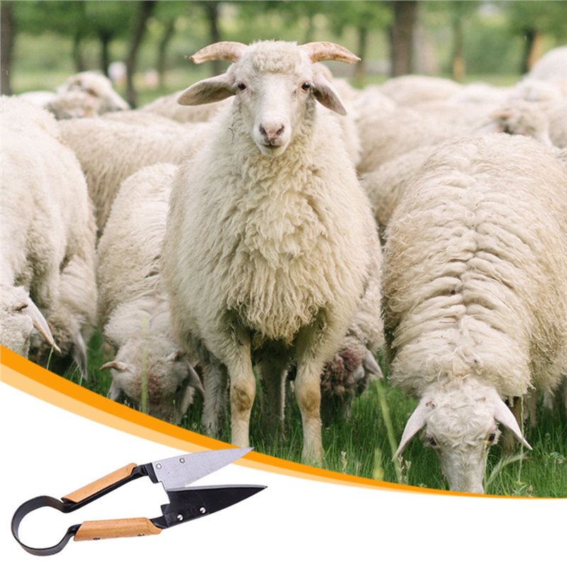 【OFFERTA LAMPO】Forbici da Giar - Gardening Tools Deals recensione e prezzo