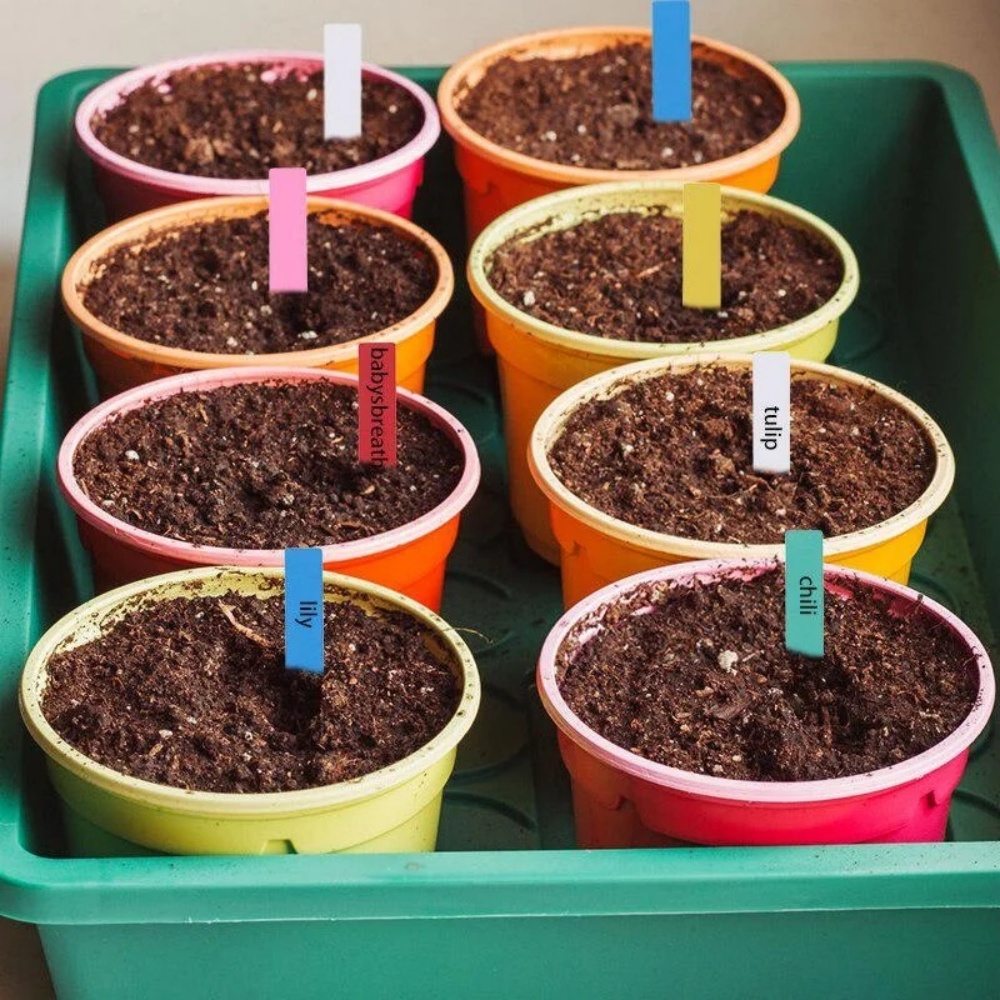 100 Etichette per Piante da Gi - Gardening Tools Labeled recensione e prezzo