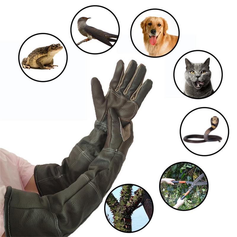 Guanti per animali domestici G - Gardening Tools Gloves recensione e prezzo