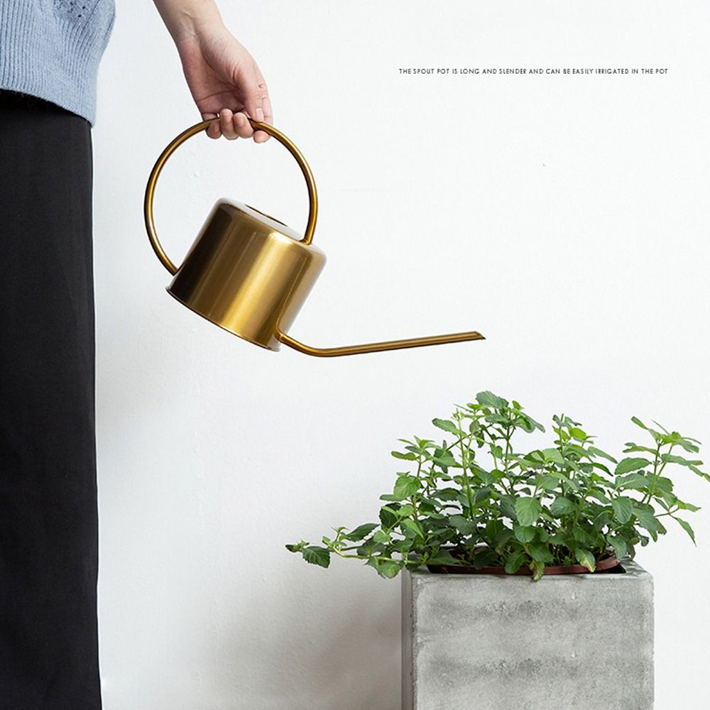 u Bollitore per piante da 1,3  - Gardening Tools High Quality recensione e prezzo