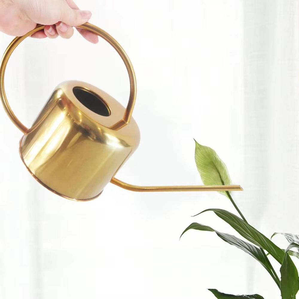 u Bollitore per piante da 1,3  - Gardening Tools High Quality recensione e prezzo