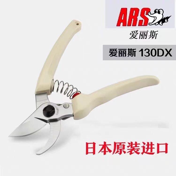 Forbici da potatura, attrezzi  - Gardening Tools Japan recensione e prezzo