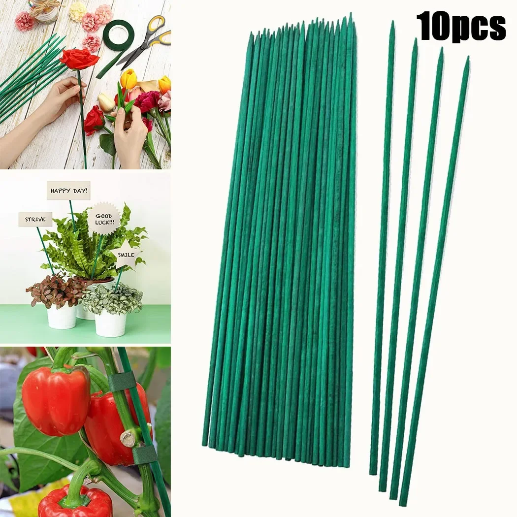 10 pz 40 cm Pianta di Bambù Ve - Gardening Tools Green recensione e prezzo