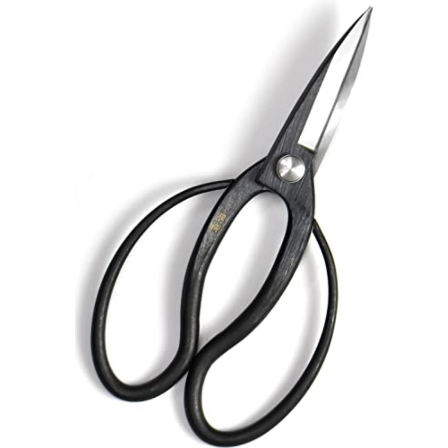Forbici Giapponesi per Bonsai  - Gardening Tools Japan recensione e prezzo