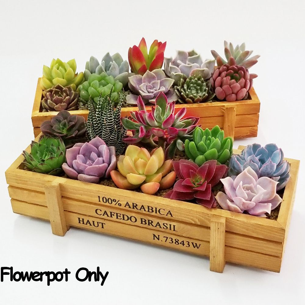 1 PC Strumenti Decorazioni da  - Gardening Tools Green recensione e prezzo