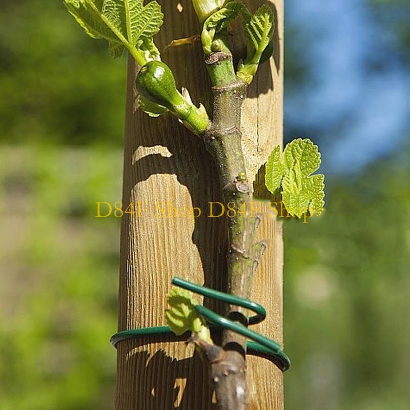 D84F 2.5mmx10m Verde Morbido C - Garden Wire Twist Tie recensione e prezzo