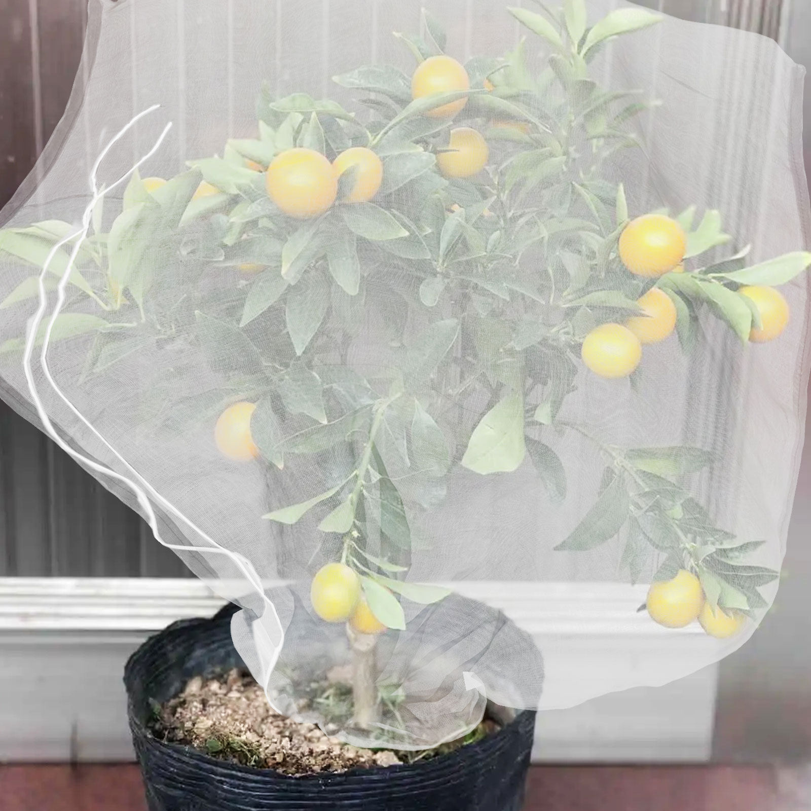 8 Pezzi di Sacchi in Rete per  - Garden Netting Cover recensione e prezzo
