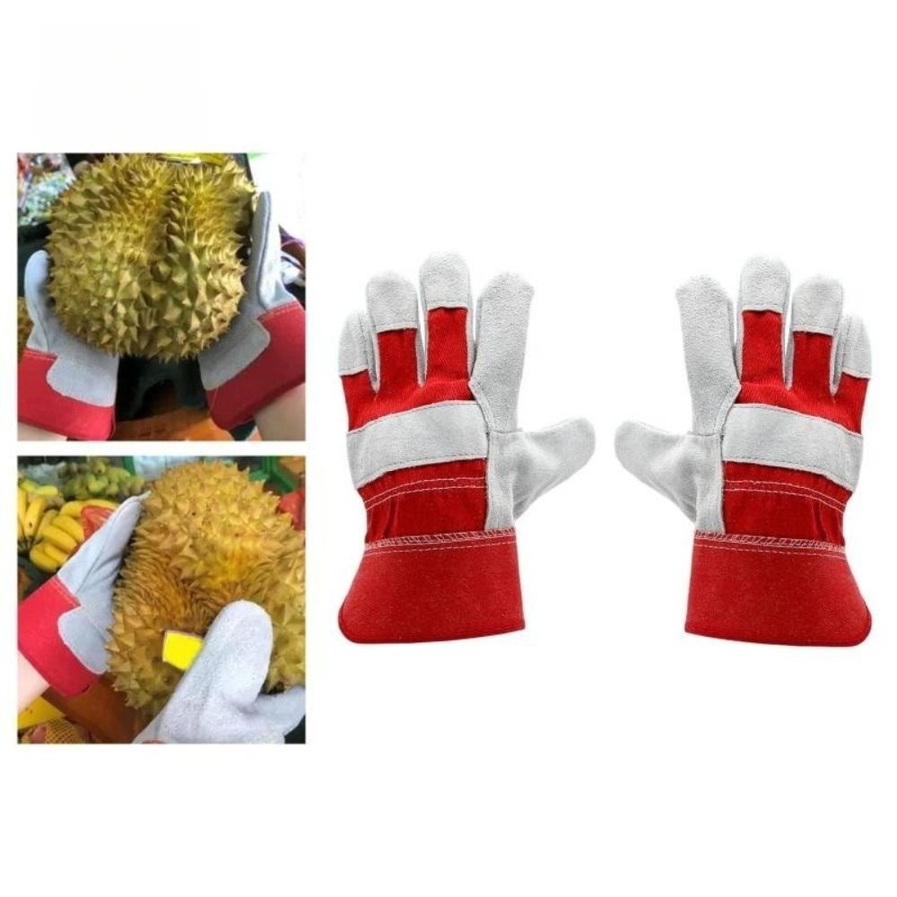 Guanti da Giardinaggio in Pell - Garden Gloves Thorn Proof recensione e prezzo