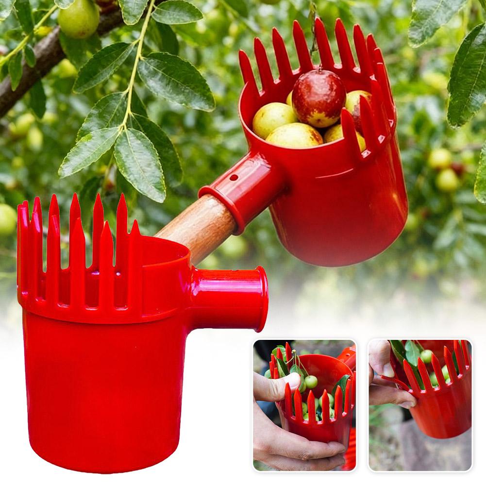 Raccogli Frutta Portatile con  - Gardening Tools Rack recensione e prezzo