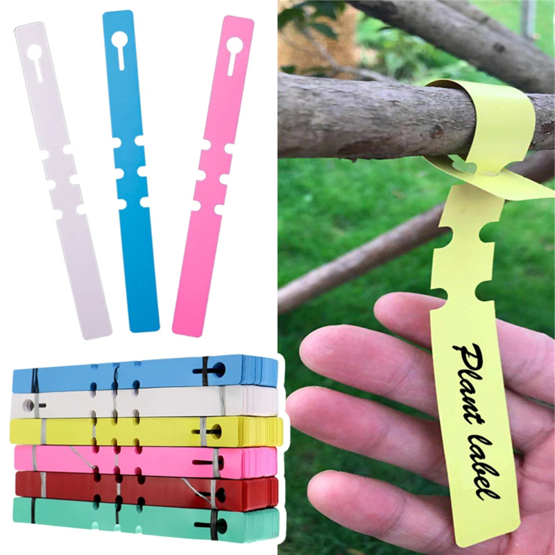 100-200 Pezzi Etichette Imperm - Gardening Tools Labeled recensione e prezzo