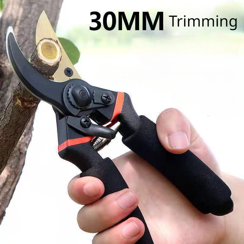 Forbici da Giardino in Acciaio - Gardening Tools Japan recensione e prezzo