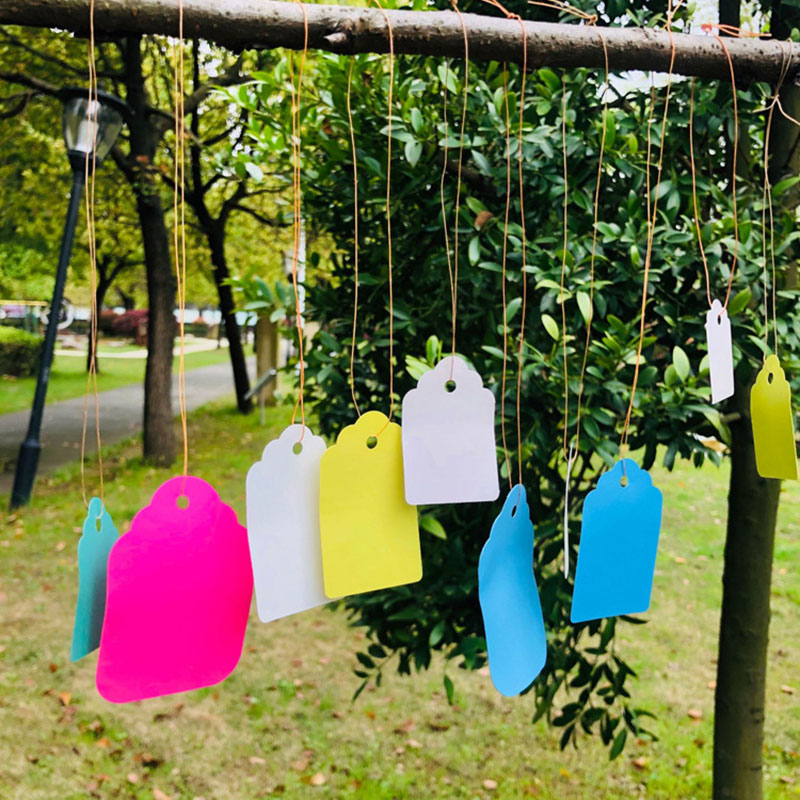 100 pezzi Etichette per piante - Gardening Tools Labeled recensione e prezzo