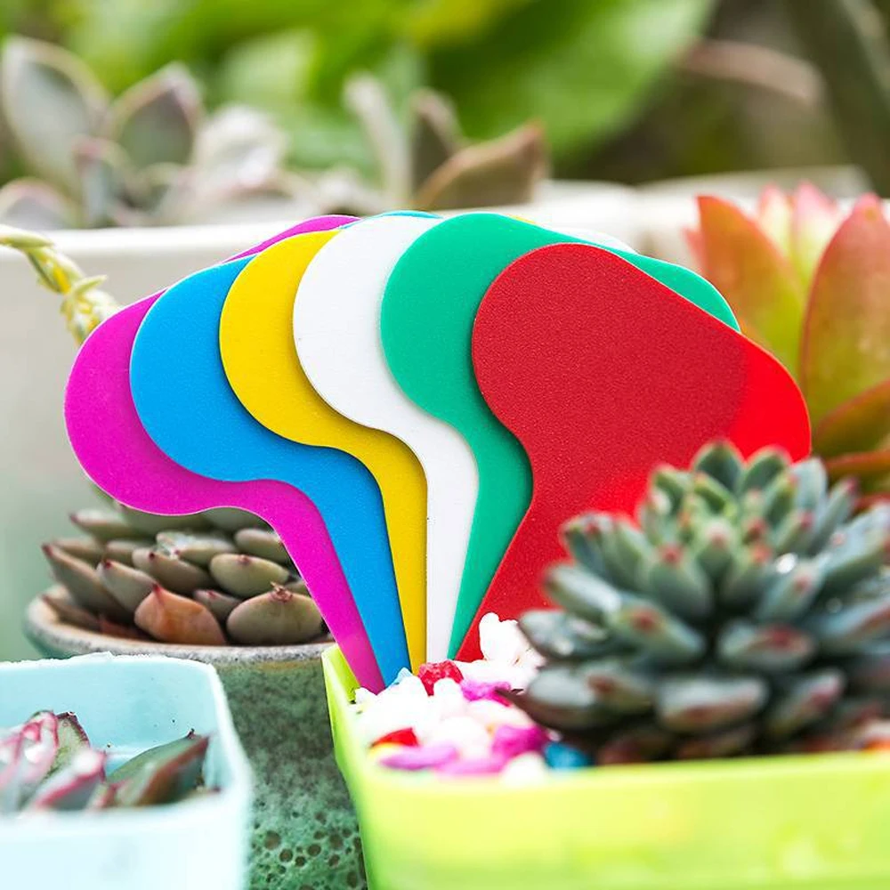 50 Etichette da Giardino 5x7CM - Gardening Tools Labeled recensione e prezzo