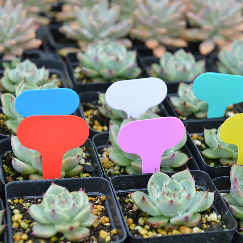 50 Etichette da Giardino 5x7CM - Gardening Tools Labeled recensione e prezzo