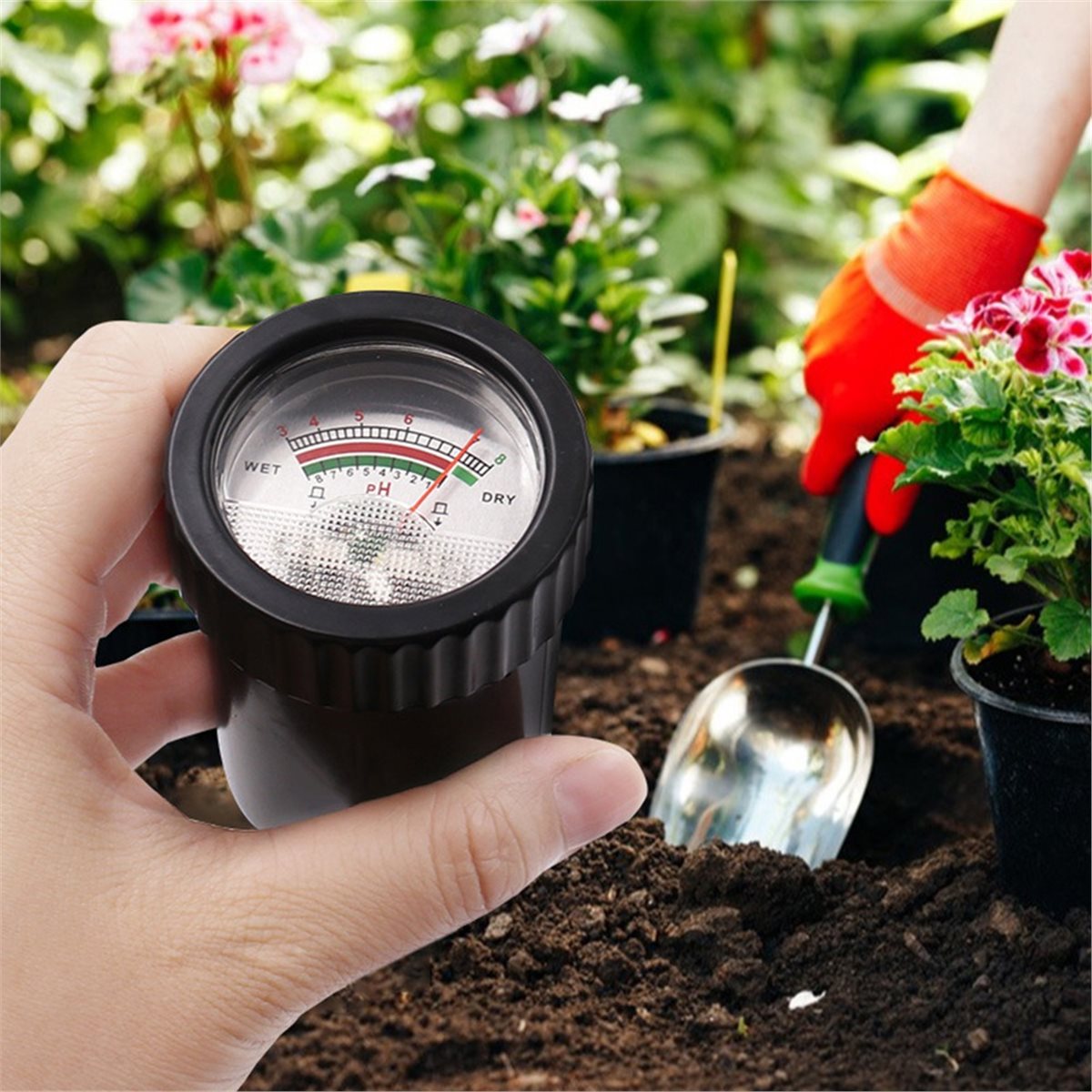 Misuratore di pH e umidità del - Soil Ph Meter recensione e prezzo