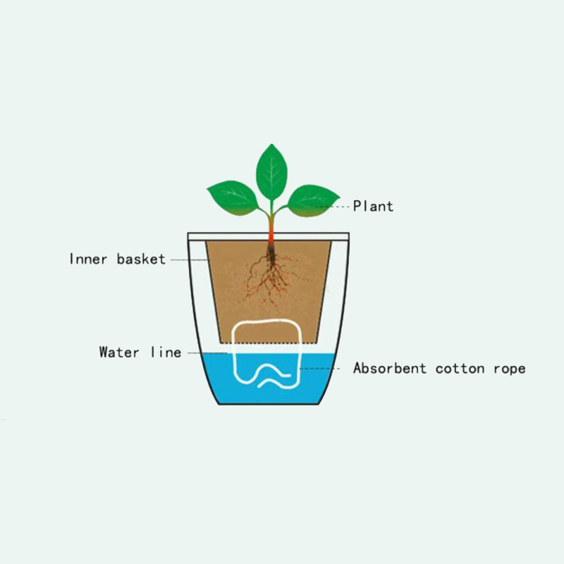 Vaso per Fiori Automatico Lazy - Gardening Tools Green recensione e prezzo