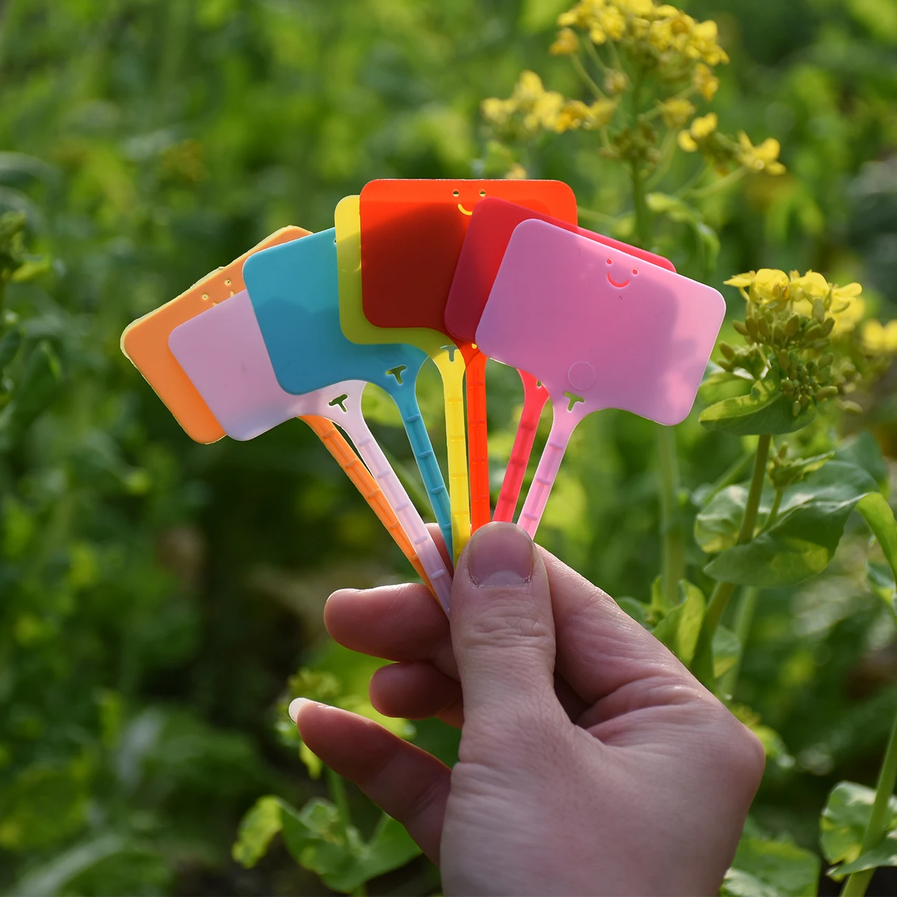 50PCS Etichette per piante da  - Gardening Tools Labeled recensione e prezzo