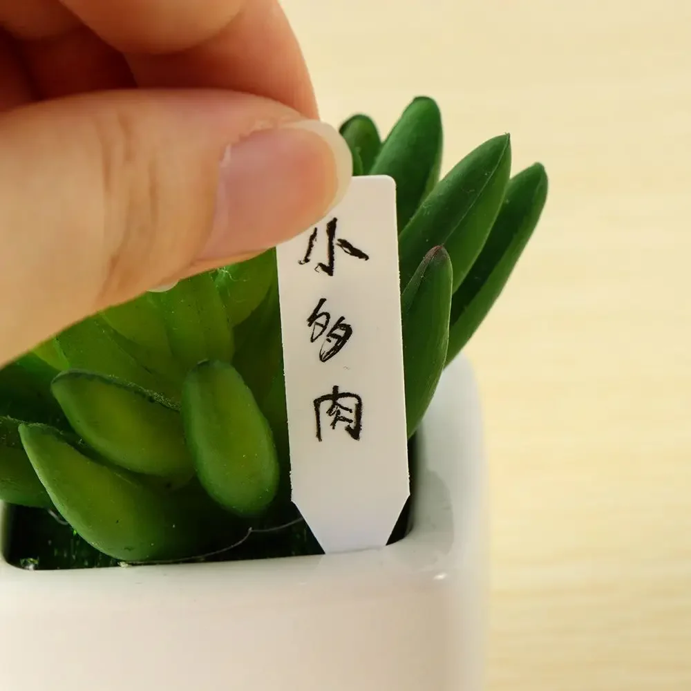100 pezzi riutilizzabili class - Gardening Tools Labeled recensione e prezzo