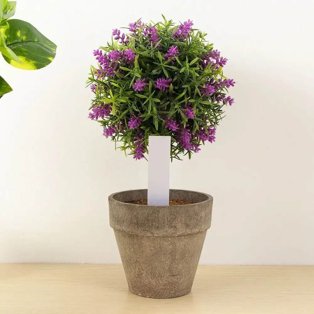 100 pezzi riutilizzabili class - Gardening Tools Labeled recensione e prezzo