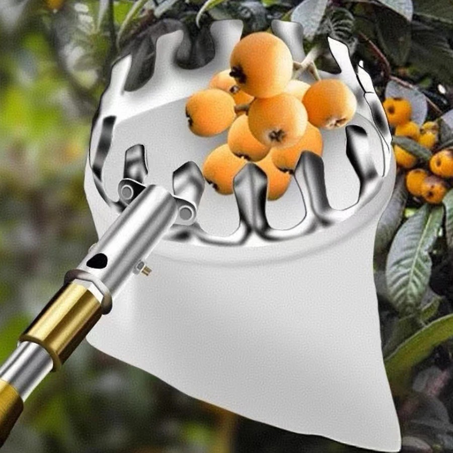 Raccogli Frutta Professionale: - Gardening Tools Rack recensione e prezzo