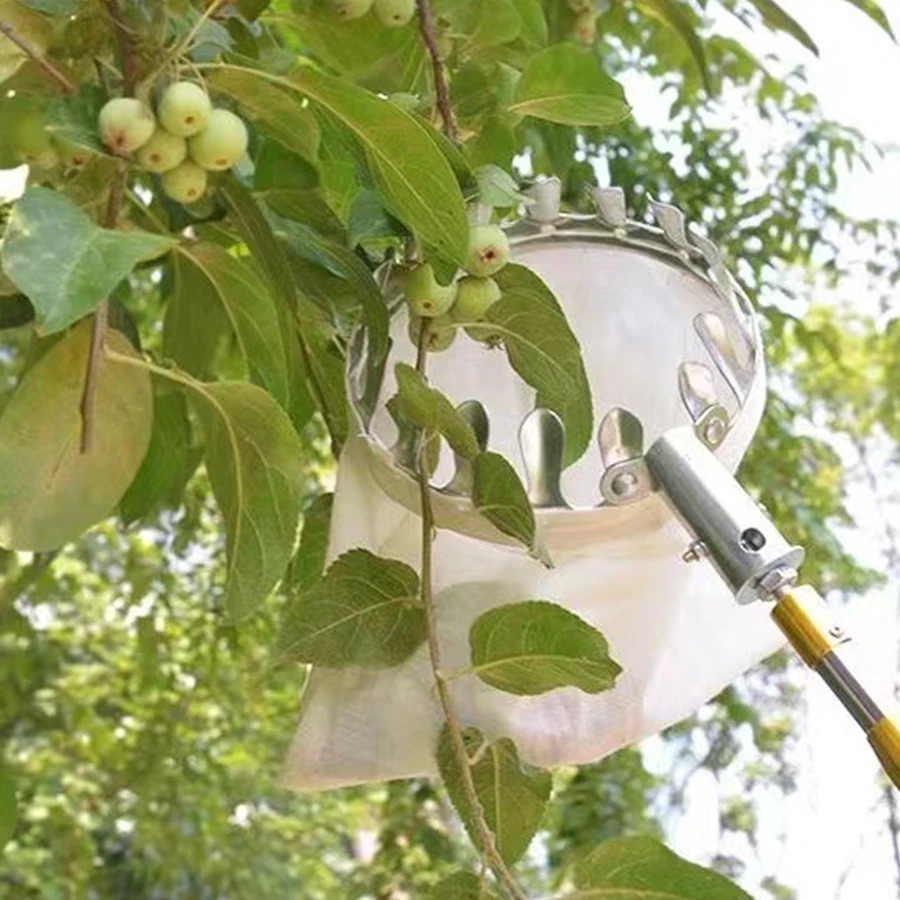 Raccogli Frutta Professionale: - Gardening Tools Rack recensione e prezzo