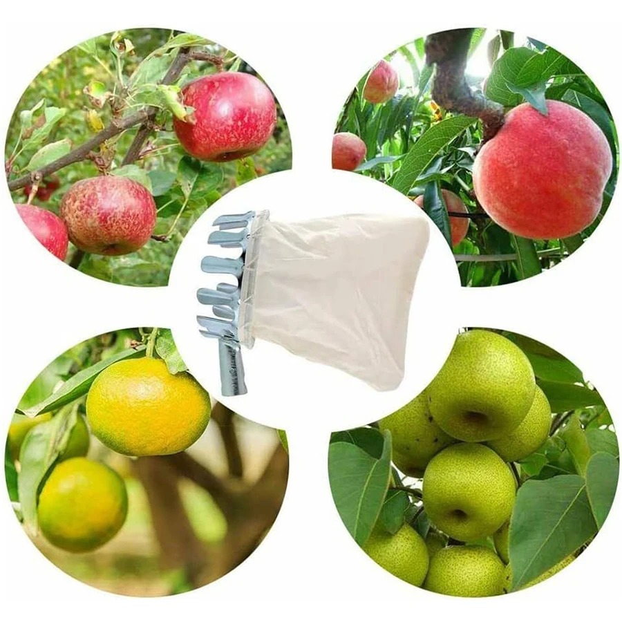 Raccogli Frutta Professionale: - Gardening Tools Rack recensione e prezzo