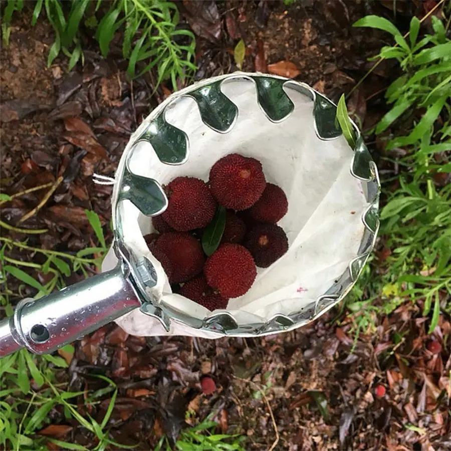 Raccogli Frutta Professionale: - Gardening Tools Rack recensione e prezzo