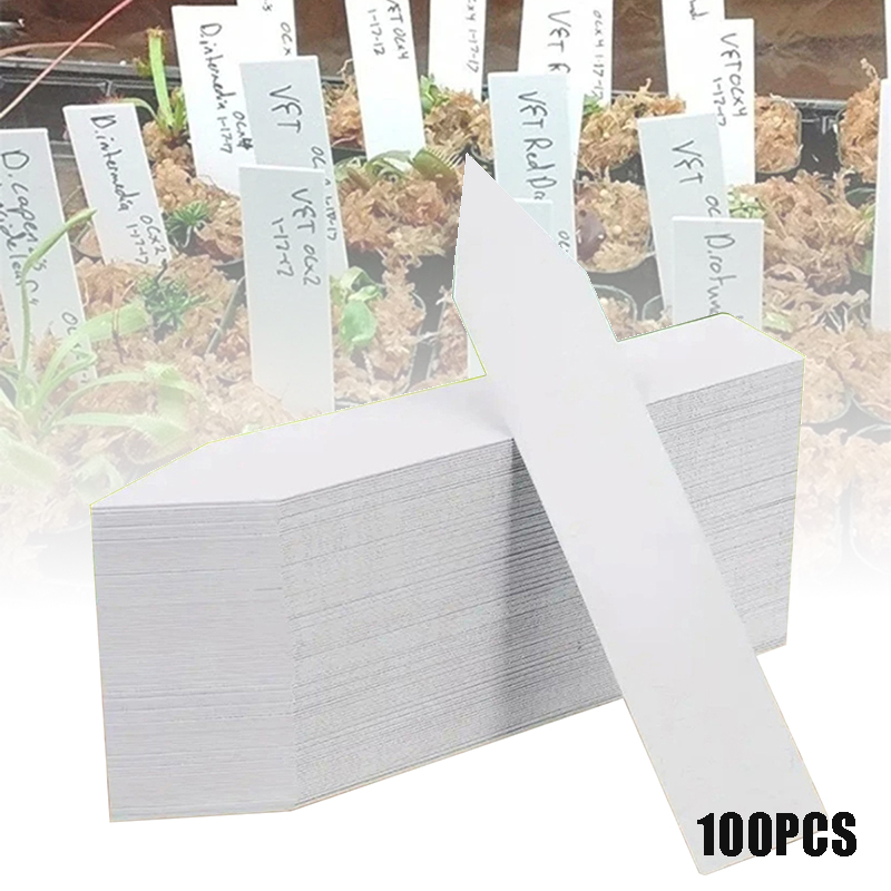 100 pezzi Etichette per piante - Gardening Tools Labeled recensione e prezzo