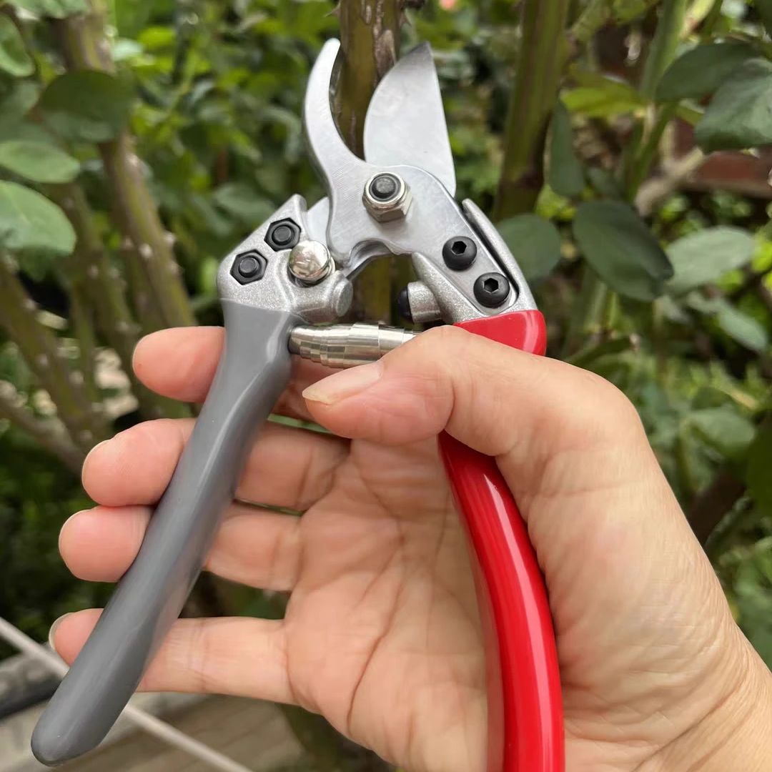 Forbici da Potatura Giapponesi - Gardening Tools Japan recensione e prezzo
