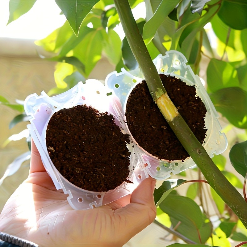Kit da 10 Pezzi per Propagazio - Gardening Tools Rack recensione e prezzo